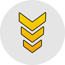 Down chevron icon