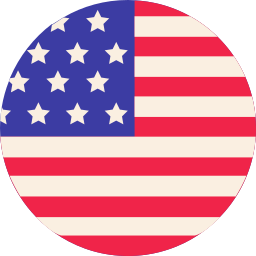 usa ikona