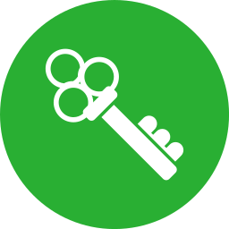 Key icon