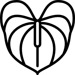 Anthurium icon