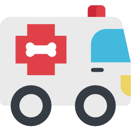 ambulance Icône