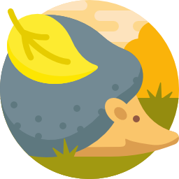 igel icon