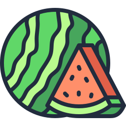 wassermelone icon