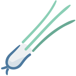 Green onion icon