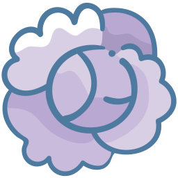 Cabbage icon