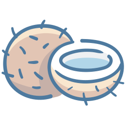 Coconut icon