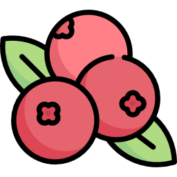 Berries icon