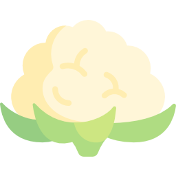 blumenkohl icon