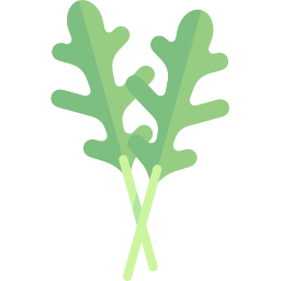 rucola icon