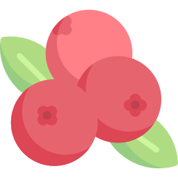 beeren icon