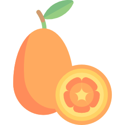 kumquat icon