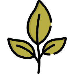 Leaf icon