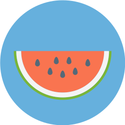 fruchtscheibe icon