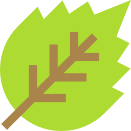 Leaf icon