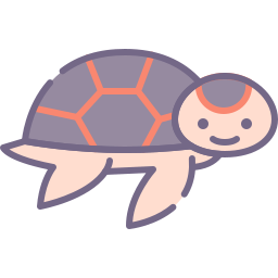 Turtle icon