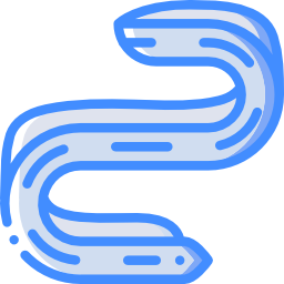 Eel icon