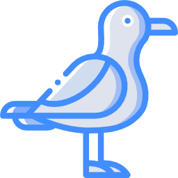 Seagull icon