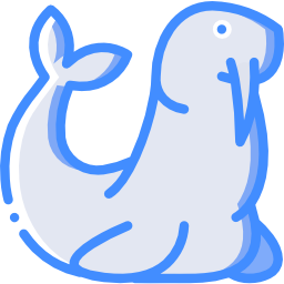 Walrus icon