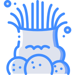 seeanemone icon