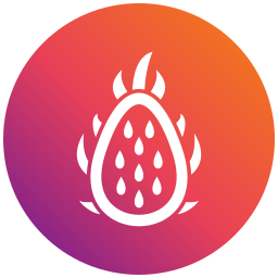 Dragon fruit icon