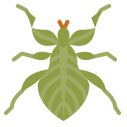 Leaf insect icon