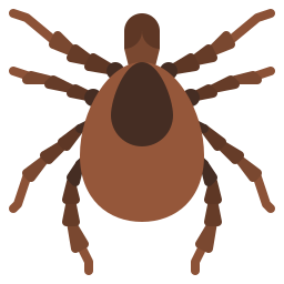 Tick icon