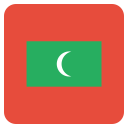 Flag icon