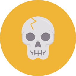 Skull icon