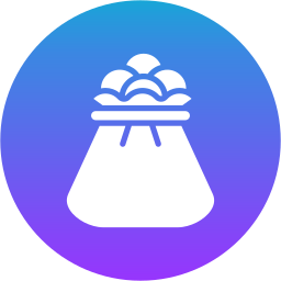 Money bag icon