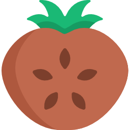 sapote icon