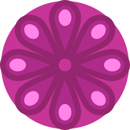 mandala icon