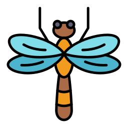 Dragonfly icon