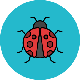 Ladybug icon