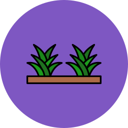 Grass leaves icon