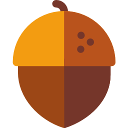 Acorn icon