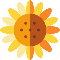 Sunflower icon