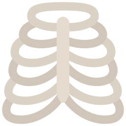 Грудная клетка иконка