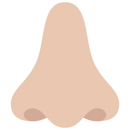 Nose icon