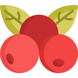 beeren icon