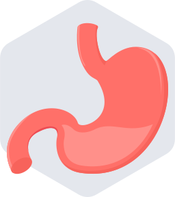 Stomach icon