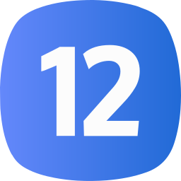 12 icon