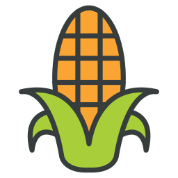 Corn cob icon