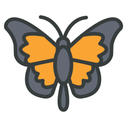 Butterfly icon