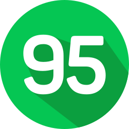 95 icon