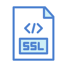 ssl icon