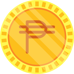 Peso icon