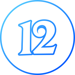 12 icon