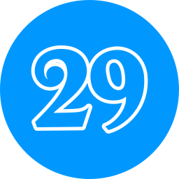 29 icon