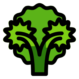 Broccoli icon