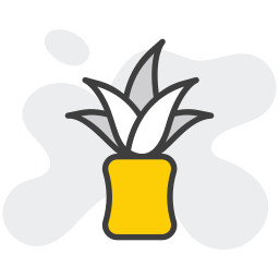 aloe icon